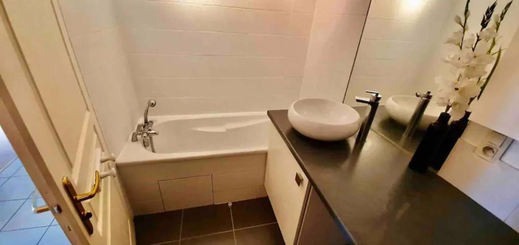 Tichnich Appartement - 2 Bedrooms - 1 Min Away From Train Station Аннемас Экстерьер фото