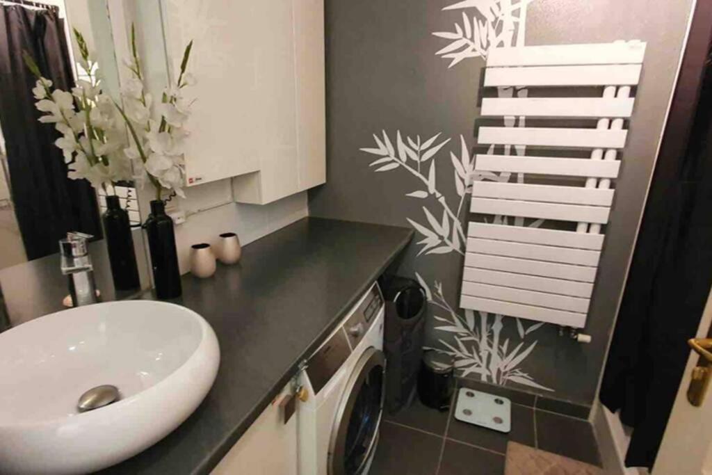 Tichnich Appartement - 2 Bedrooms - 1 Min Away From Train Station Аннемас Экстерьер фото