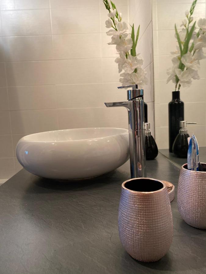 Tichnich Appartement - 2 Bedrooms - 1 Min Away From Train Station Аннемас Экстерьер фото